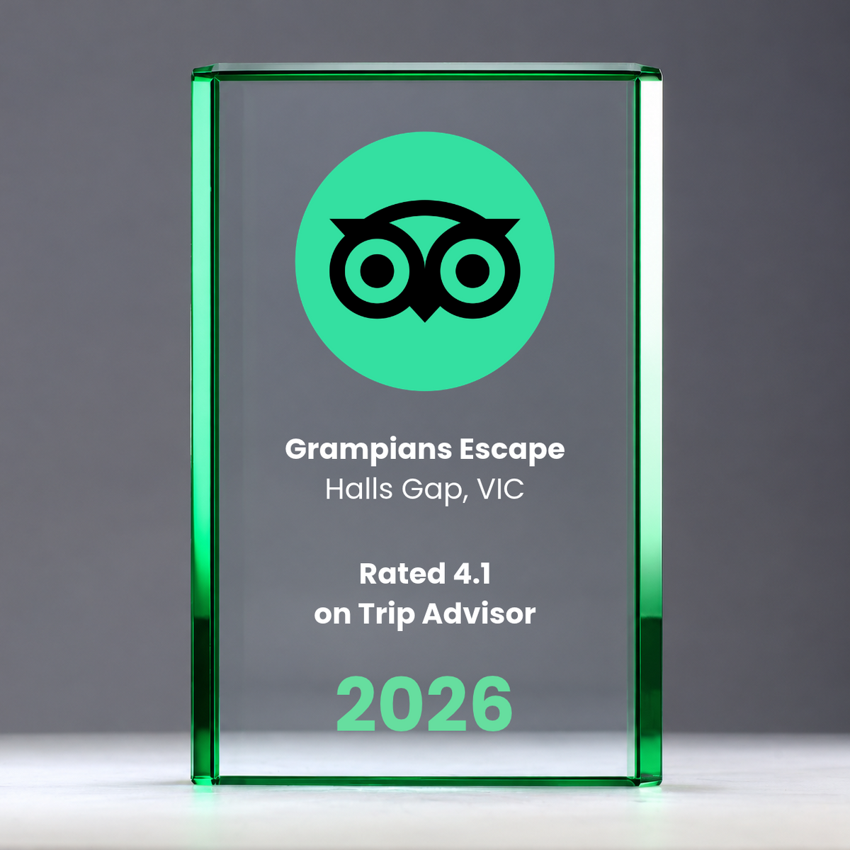 TRIP ADVISOR CUSTOMER RATING AWARD