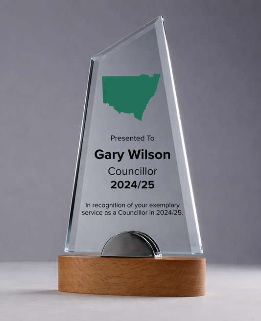 LOCAL GOVERNMENT EXCELLENCE AWARD (NSW)